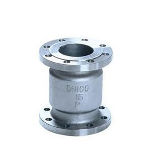 H42H/W vertical check valve